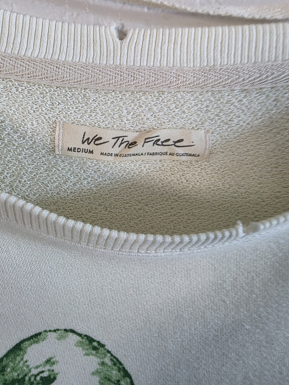 Free People| We The Free Graphic Camden Pullover Mallard Duck - Picture 5 of 5